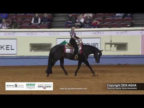 Amateur Horsemanship - 2024 AQHA World Championship Show