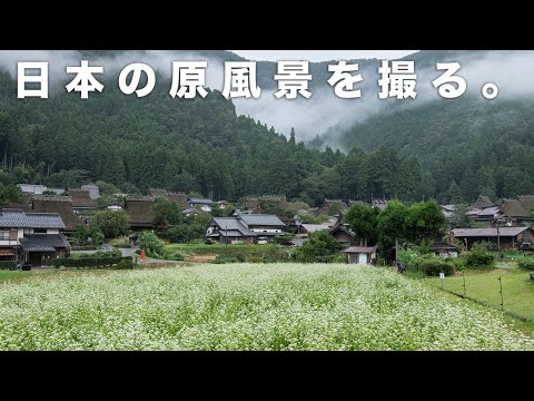 まさか【雨の日】に撮る秋の里山がここまで美しいとは…。