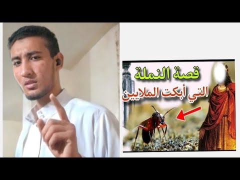 قصة "النملة الغريبه التي بكي لها العالم وسيدنا سليمان والثلاث حبات من القمح اسمع ما الذي حدث 😱!!