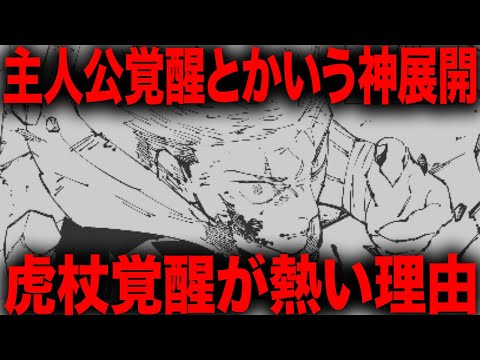 【呪術廻戦】さすがに熱すぎた虎杖覚醒を語りたい・・・【最新256話解説】【ネタバレ】【考察】