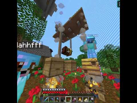 The Story of BeeTopia on the 100 by 100 Minecraft World