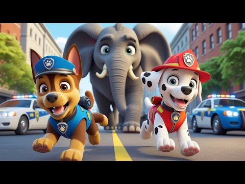 OMG! Chase x Marshall Run Away From Danger Elephant | So Sad Story | Paw Patrol The Mighty Movie