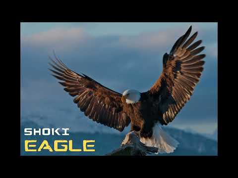 Shoki - Eagle