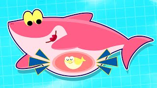 Wiggle Wiggle Baby Shark | Sea Animal Family Song | Nursery Rhymes & Kids Songs