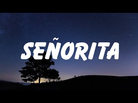 Señorita - Shawn Mendes (Lyrics)