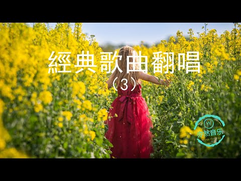 【無廣告版】經典老歌翻唱-比原唱更有味道-一生所愛-三百六十五里路-走過咖啡屋-晚秋-玫瑰玫瑰我愛你-我的心裡只有你沒有他（亦然音樂012）