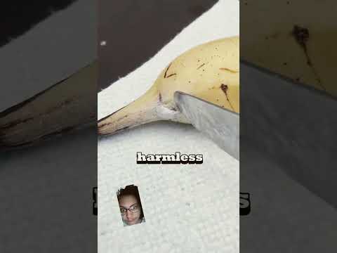 Make Sure You Check Your Bananas Before Eating Them!