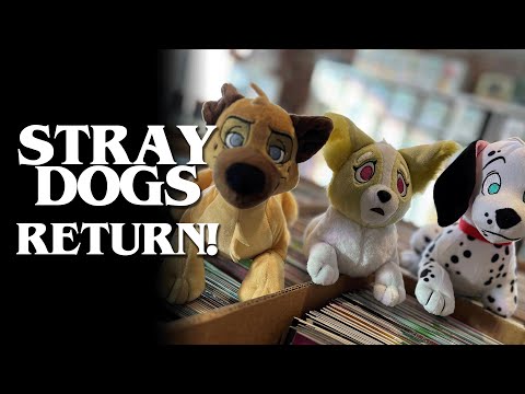 The STRAY DOGS Team is BACK to Break Your Hearts Again | Tony Fleecs & Trish Forstner Interview