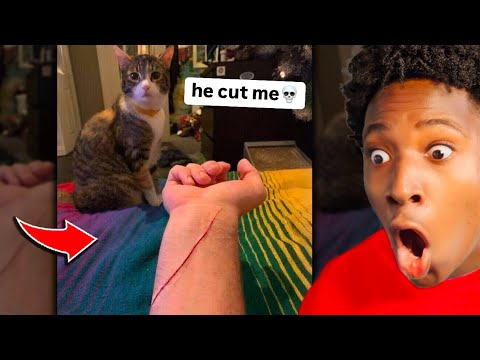 Memes but if I laugh, the video ends #11