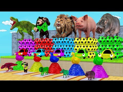 Cow Elephant Tiger Lion Dinosaur Hippo 3d Animal Long Slide Game Funny 3d Paint Animals Cage Game