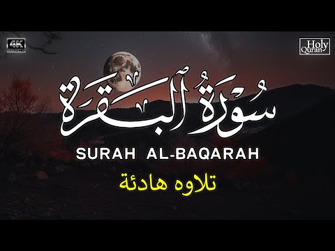 قرآن كريم في رمضان بعد الإفطار ☀️ قران كريم بصوت جميل جدا💤 راحة نفسية لا توصف 💚 Quran recitation