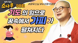 기도의 힘으로 꿈속에서 가피가 펼쳐지다 [#광우스님 의 #소나무 시즌3 98회]풀영상