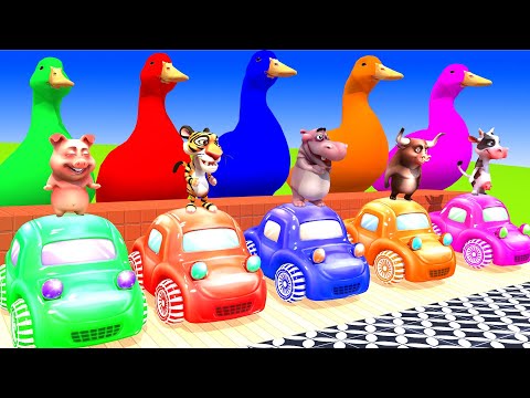 5 Giant Duck Cartoon, Paint & Animals Lion, Gorilla, Bear,Tiger , Cow Wild Animals Crossing Fountain