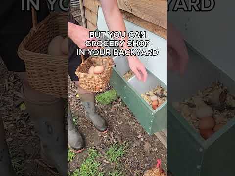 Grocery Shopping In Your Backyard