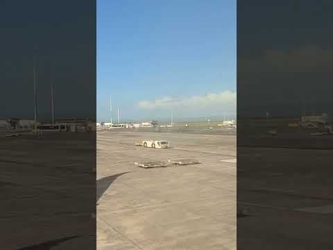 Pushback tractor or tug on the move at the airport ramp #kuyabogpilotzn #aucklandairport #airport