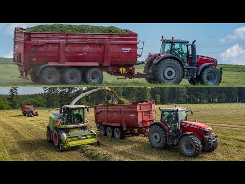 Silage with CLAAS Jaguar 950 and MASSEY FERGUSON tractors | ZAS Krucemburk