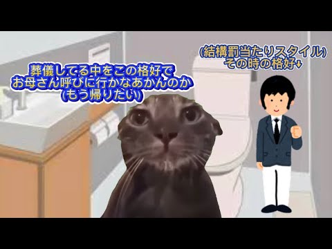 【猫ミーム】病院の夜勤明けで起こった本当に災難な1日後編