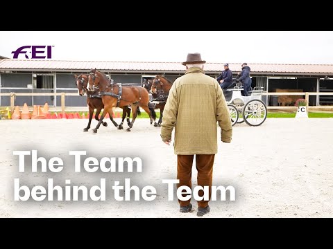 One Day with a Driving Trainer! | Beside Every Champion - in partnership with Boehringer Ingelheim