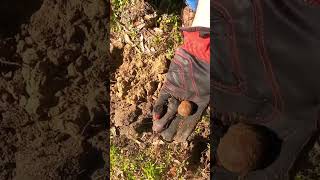 Metal Detecting- Relics left behind near this Civil War Camp #shorts #relichunting