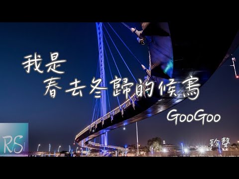 🎧GooGoo - 我是春去冬歸的候鳥 (鈴聲)【我像候鳥 飛啊飛啊 往遠方飛 我的夢啊 追啊追啊 人總有機會】(動態歌詞)