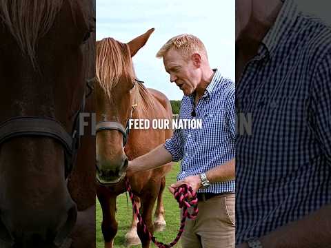 We owe so much to the power horse of the countryside.