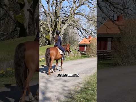 Have you ridden in Sweden?! 🇸🇪#horseriding #sweden