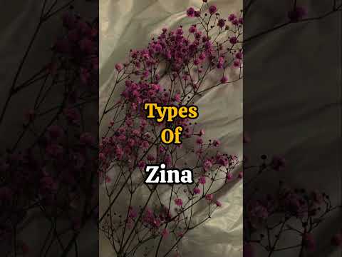 Types of Zina(Adultery)☪️🕋#islam #freepalestine #shorts #viral