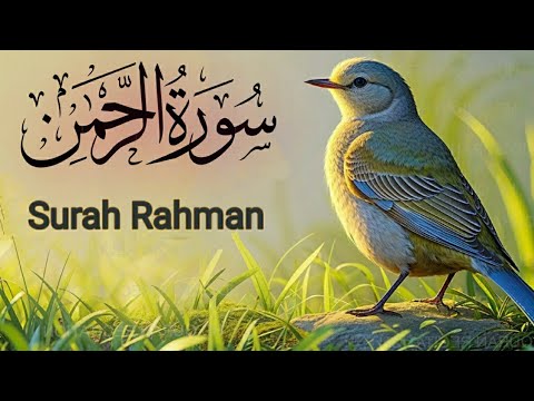 World's most beautiful recitation of Surah Ar-Rahman Episode 768 | Bazm e Quran