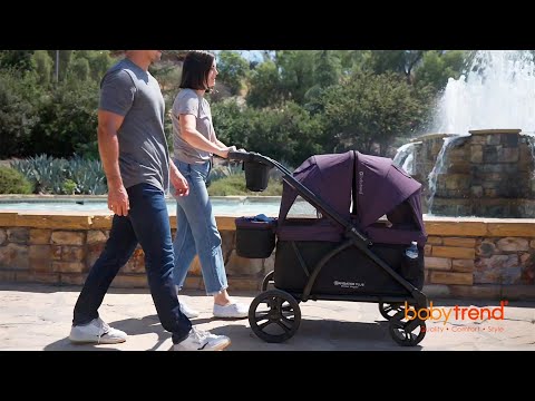 Baby Trend Navigator PLUS 2-in-1 Stroller Wagon