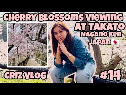 The Famous Cherry blossoms viewing at Takato ina city in Nagano Ken Japan 🌸🇯🇵 || CRIZ VLOG || #15