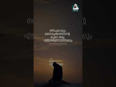 nizamuddeen al azhari|islamic|malayalam speech|status