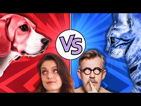 Cats VS Dogs: Which One Is Smarter?