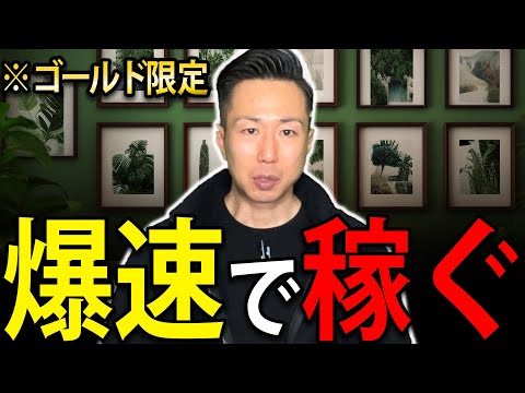 【出張カメラマン】知らないと損する！初月から1５万円稼ぐ秘密を大公開！【初心者】