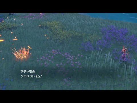 アチャモのクロスフレイム【ポケモンsv】