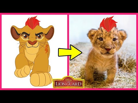 The Lion Guard Characters In Real Life And Guess The Emoji Quiz! 🦁🐆 | Kion, Fuli, Mufasa, Scar