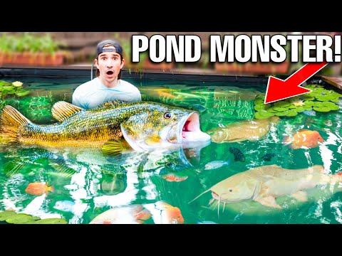 Finally Adding EXOTIC FISH To My 4,000 Gallon Pond! *Pond Monster Found*