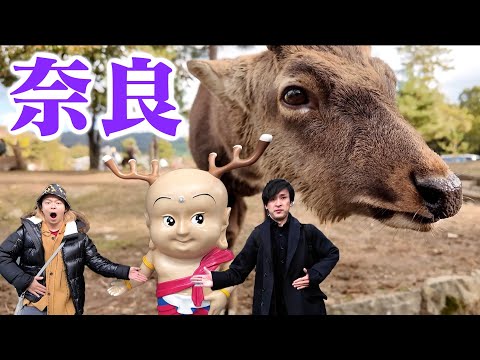 【46道府県旅行の旅！奈良県編】〜大人になって気が付いた奈良公園の魅力！居心地が良すぎるが故の罠に衝撃のラストが！？〜