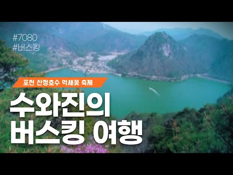 [수와진의 버스킹여행] #포천산정호수 #억새꽃축제 2024.10.31