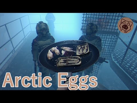 【Arctic Eggs】目玉焼き作る！ 05/20