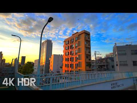 Mejiro Evening Walk in Tokyo | Autumn Colors and Changing Light | Japan