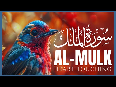 🌿 سورة الملك قبل النوم | تلاوة خاشعة تهدي الروح 🕯️ | Surah Al-Mulk Night Recitation for Tranquility