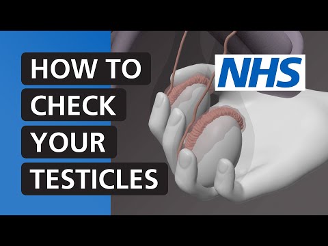 How to check your testicles | NHS