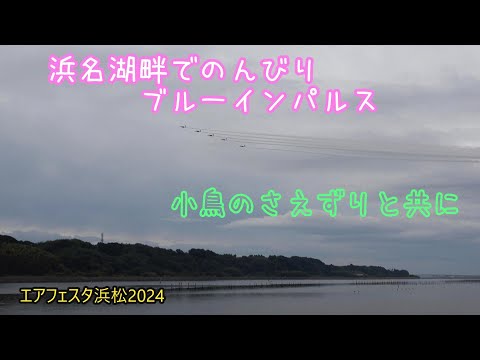 ブルーインパルス 【浜松基地航空祭2024】