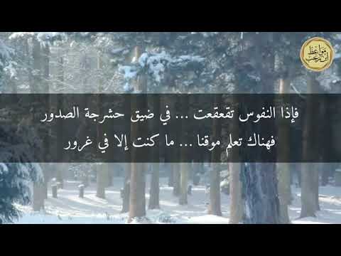 ٢٩ نوفمبر ٢٠٢٤(4)