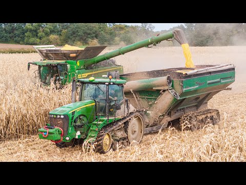 Big Corn Harvest 2024 | John Deere X9 1100, John Deere 8345R & John Deere 8320RT