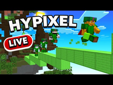 Hypixel with VIEWERS! /party join DashPum4