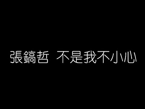 張鎬哲   不是我不小心 無損音樂FLAC 歌詞LYRICS 純享