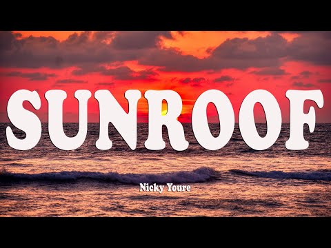 Nicky Youre, dazy - Sunroof (Lyrics)