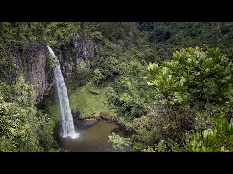 Matt Granger WATERFALLS Live Stream