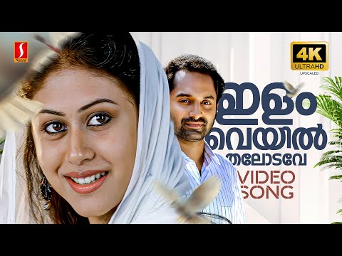 Ilam Veyil Thalodave 4K Video Song | Red Wine | Fahadh Faasil | Najim Arshad | Veetrag | Bijibal